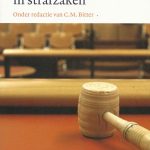 30 jaar kort geding in strafzaken