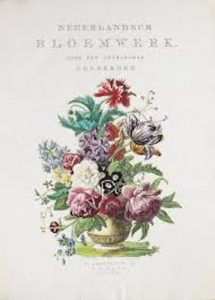 Nederlandsch Bloemwerk
