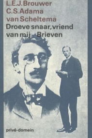 Droeve snaar, vriend van mij. Brieven