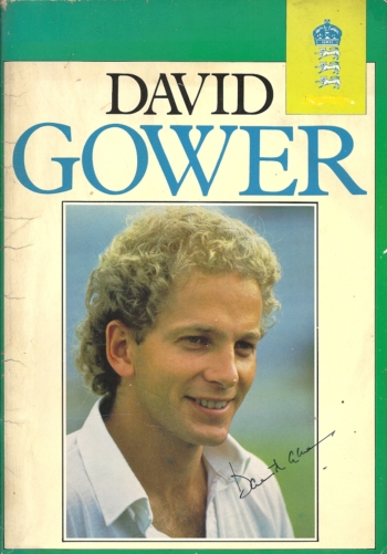 David Gower Benefit Brochure