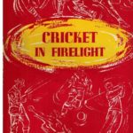 Cricket in Firelight