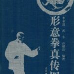 Xing Yi Quan