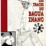 Sur les traces du Bagua Zhang