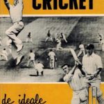 Cricket, de ideale zomersport