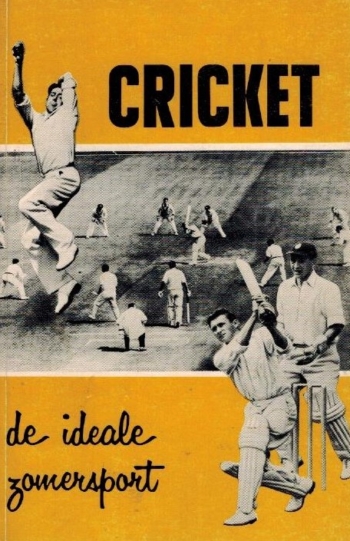 Cricket, de ideale zomersport