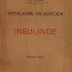 Neerlands Krijgsroem in Insulinde