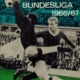 deutsche Bundesliga 1966-67
