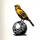 D.O.S. 100 jaar