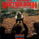 Groot Voetbalboek 1984