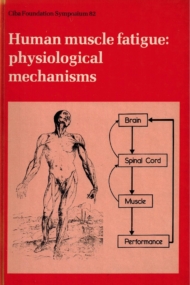 Human muscle fatigue