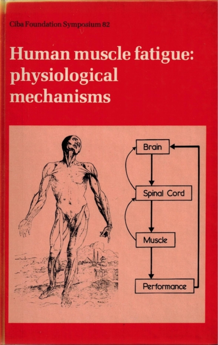 Human muscle fatigue
