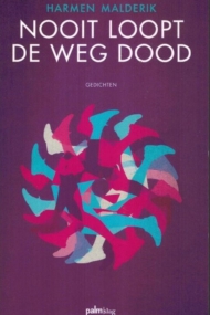 Nooit loopt de weg dood