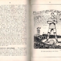 NVB Jaarverslag 1912 tm 1917