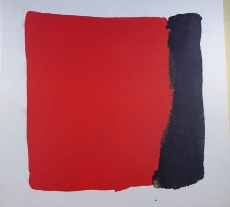 Ellsworth Kelly: The Early Drawings 1948-1955