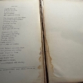 Poetry of Skating Binding