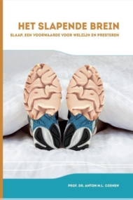Het slapende brein