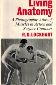 Living Anatomy
