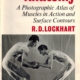 Living Anatomy