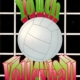 Youth Volleyball