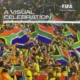Visual celebration of the 2010 FIFA World Cup South Africa